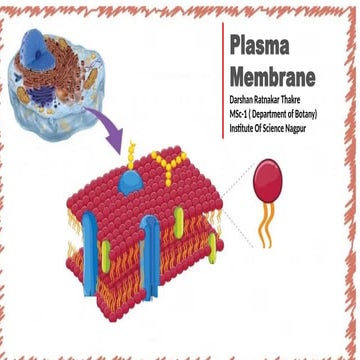 Plasma Membrane PPT by --Darshan  Thakre MSc -1 Govt. Institute Of Science , ...