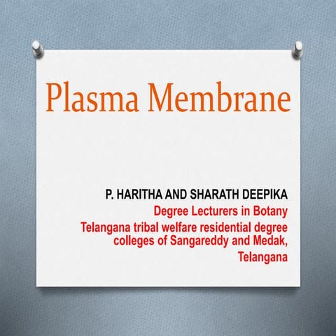 Plasma membrane structure
