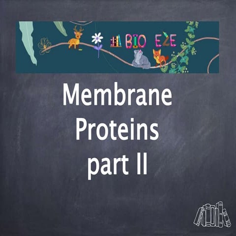 Plasma membrane proteins part 2