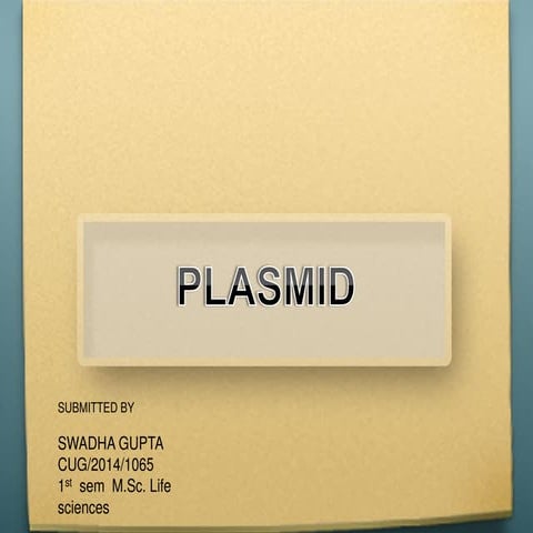 Plasmid