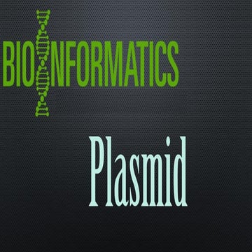 Plasmid