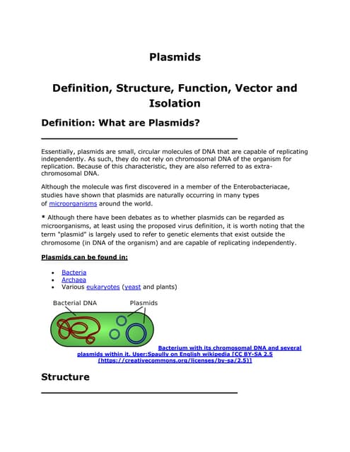Plasmid