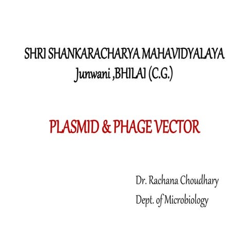 Plasmid  and phage vector