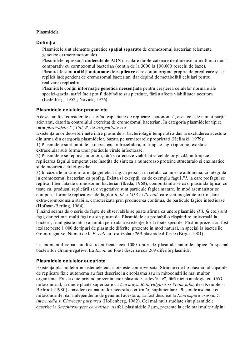 Cromozomul bacterian