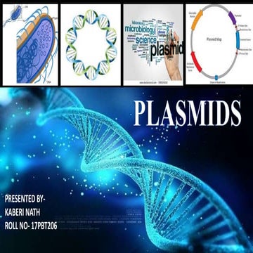 Plasmid 