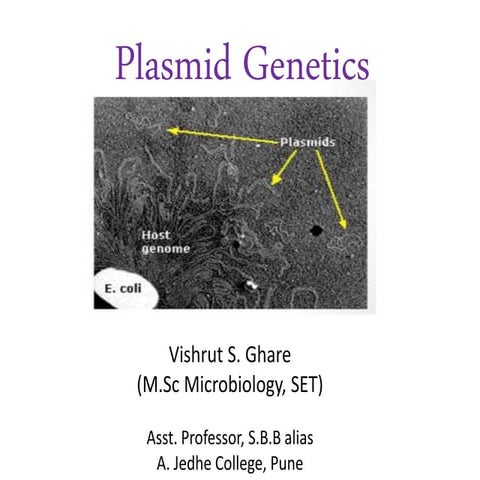 Plasmid genetics