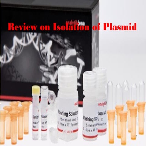Plasmid isolation