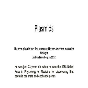 Plasmid | PDF