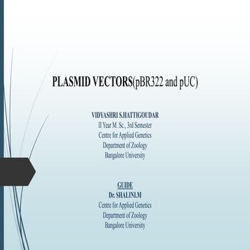 PLASMIDS AND VECTORS
