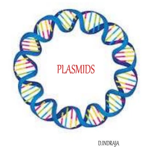 Plasmids(microbiology)