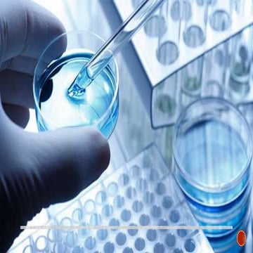 Plasmids and Gel Electrophoresis