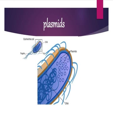 Plasmids 