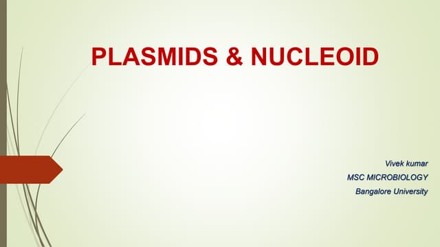 Plasmids &  Nucleoid 
