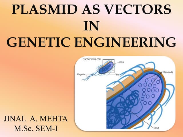 Plasmid Vector.ppt (msc - I).ppt