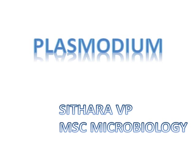 Plasmodium