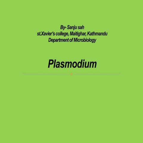 Plasmodium