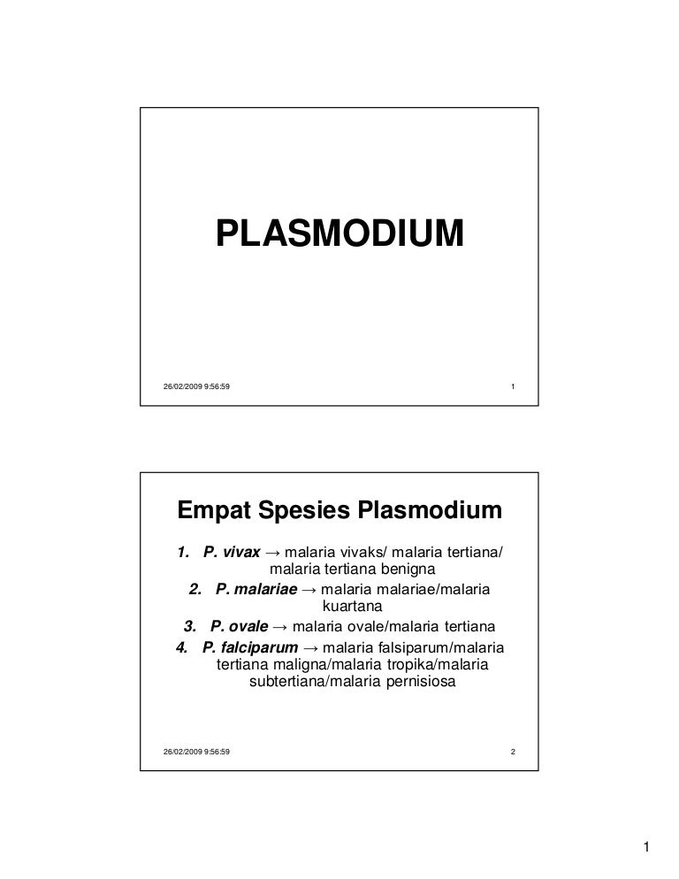 A malária plazmodium magja,