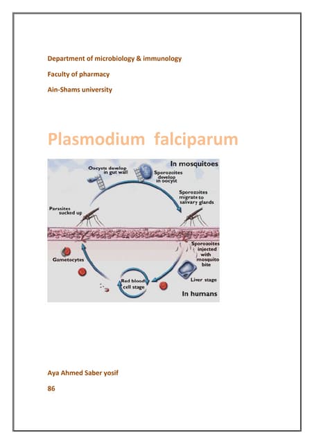 a paraziták plazmodium falciparum tulajdonságai eszközök a szag eltávolítására a szájból