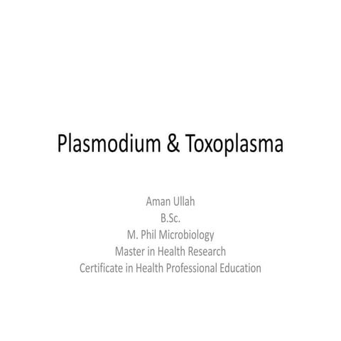 Plasmodium &amp; toxoplasma