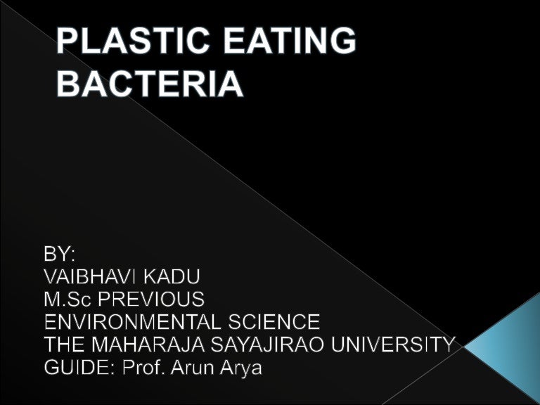 Plastic eating bacteria