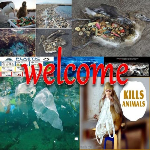 Plastic effect on humans and animal