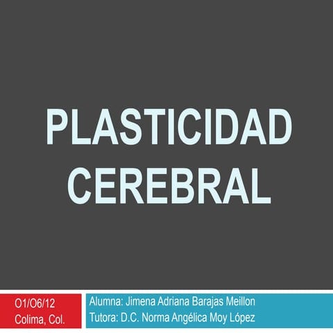 Plasticidad cerebral