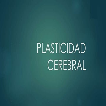 Plasticidad cerebral