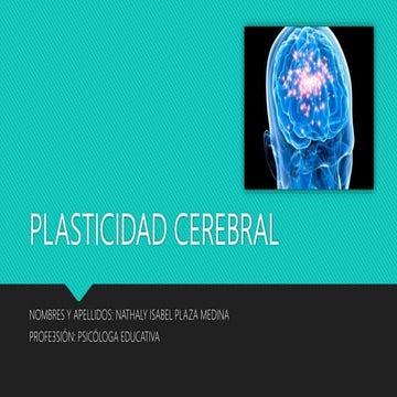 Plasticidad cerebral
