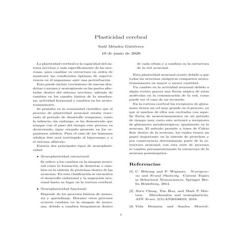 Plasticidad cerebral