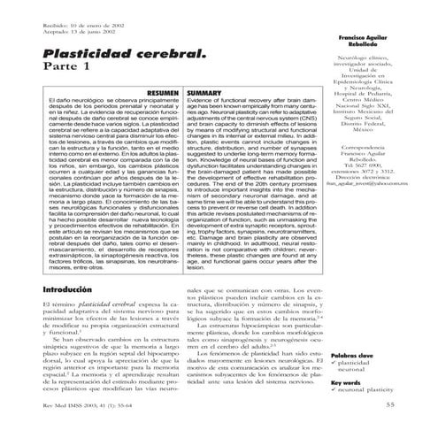 Plasticidad cerebral copia