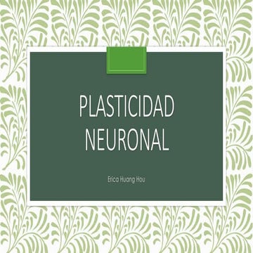 Plasticidad neuronal