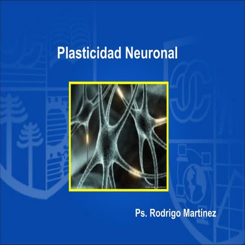 Plasticidad neuronal