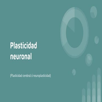 Plasticidad neuronal en la edad desde la infancia hasta la muerte