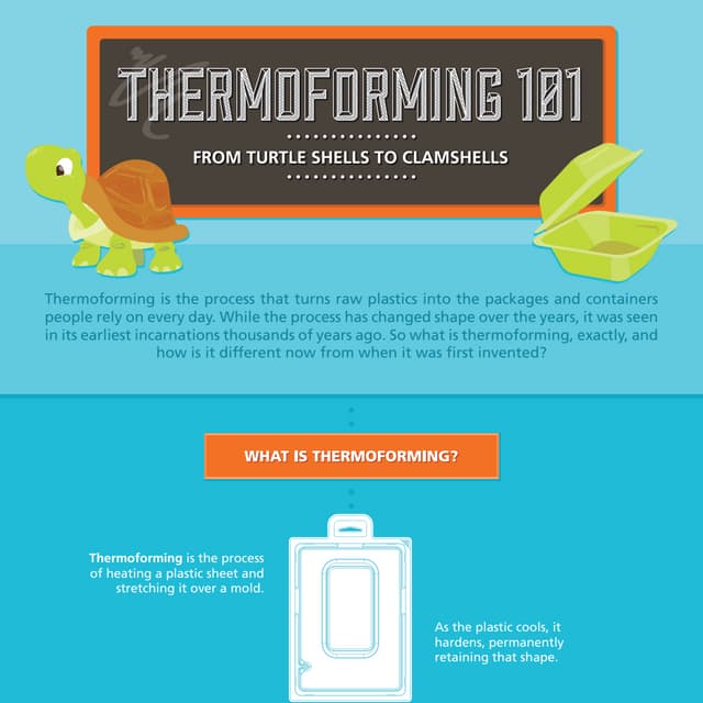 Thermoforming 101: From Turtle Shells to Clamshells | PDF