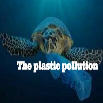 Plastic pollution (1)