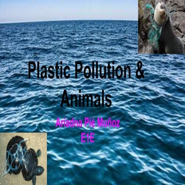 Plastic pollution &amp; animals