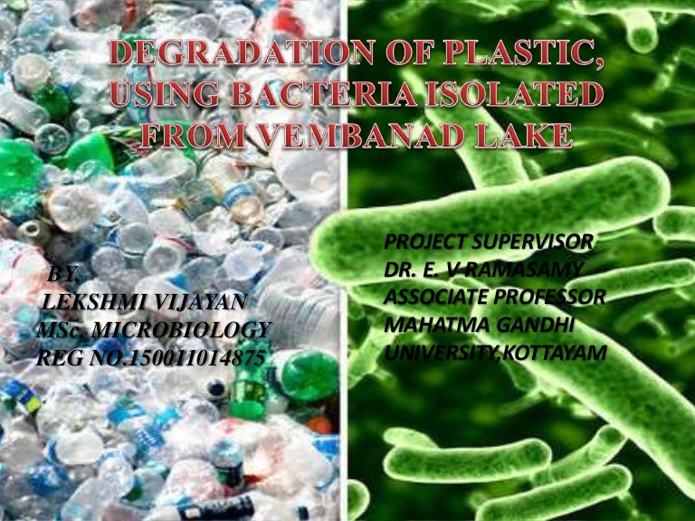 Degradation of Plastic Using Bacteria Isolated From Vembanad lake ppt