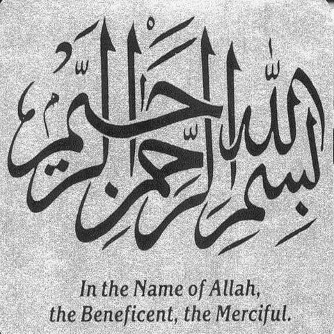 Plastic presentation