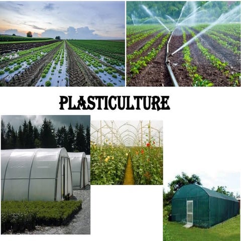 plasticulture use of plastic in agriculture.pptx