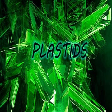 Plastids presentation biology