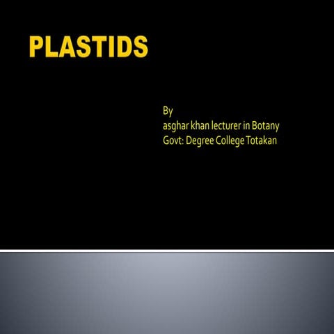 Plastids