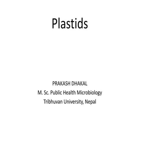 Plastids