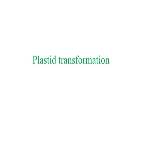 Plastid trnsformation