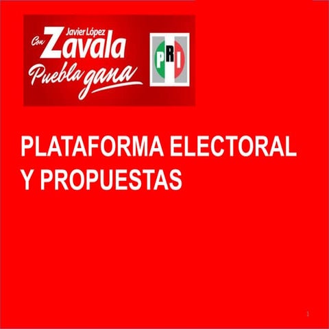 Plataforma electoral y propuestas