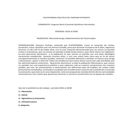 Plataforma politica del partido patriota