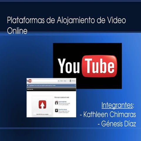 Plataformas de video online