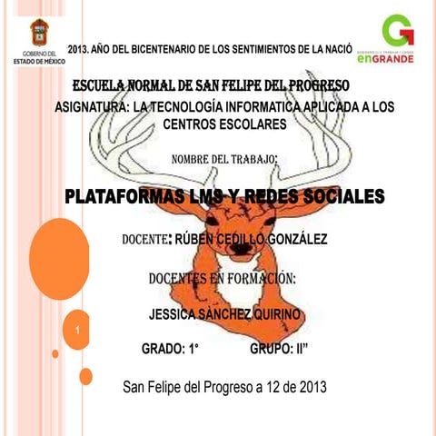 Plataformas jessi s.q