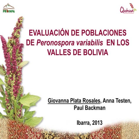 PLATA R. Giovanna, et al. 2013. Evaluación de poblaciones de Peronospora variabilis en los valles de Bolivia