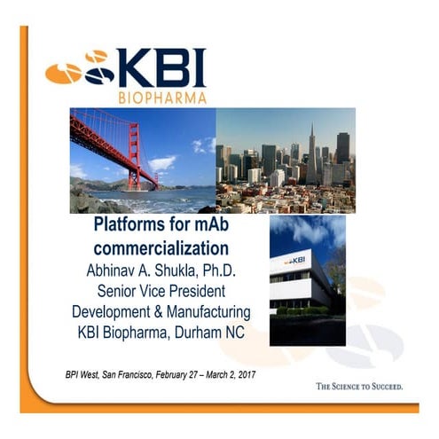 Platforms for mAb Commercialization 