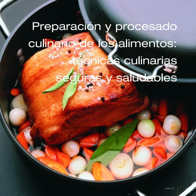 Cocinologia la ciencia de cocinar PDF
